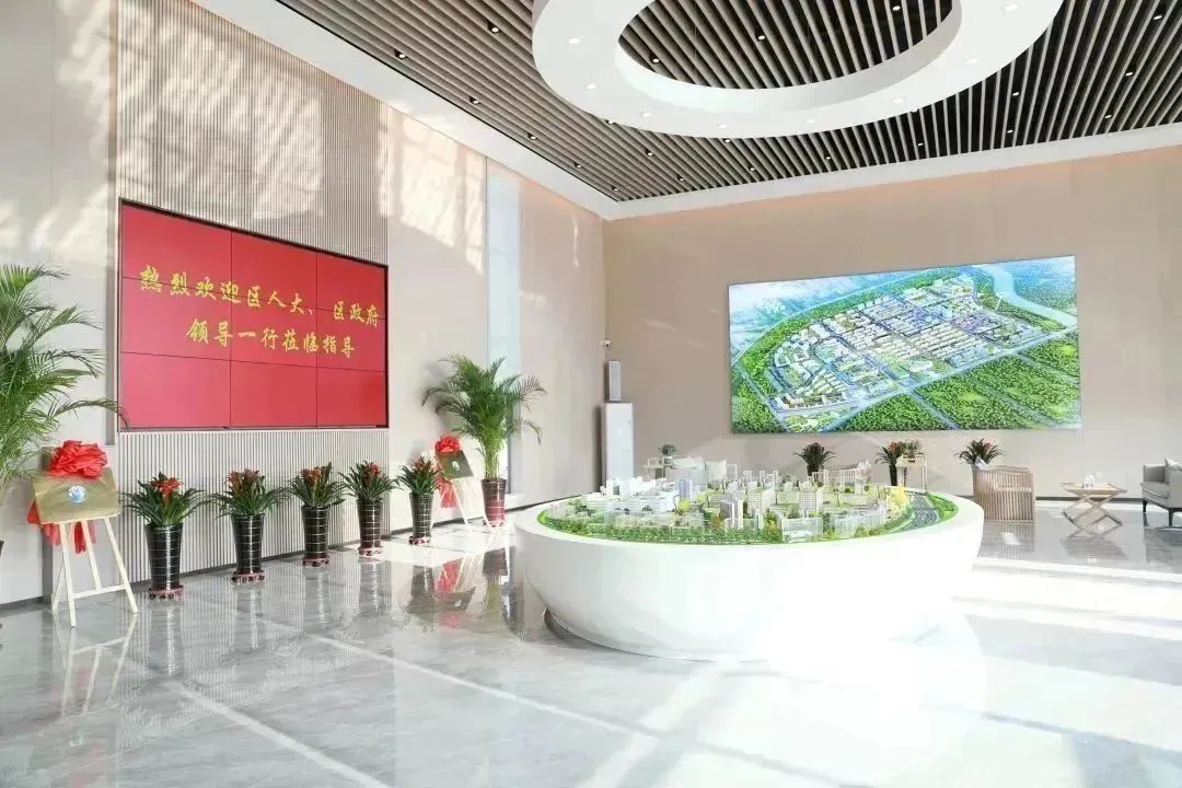 龍港區(qū)人大、區(qū)政府領(lǐng)導(dǎo)一行視察調(diào)研龍港國(guó)際醫(yī)療健康產(chǎn)業(yè)園(圖2)
