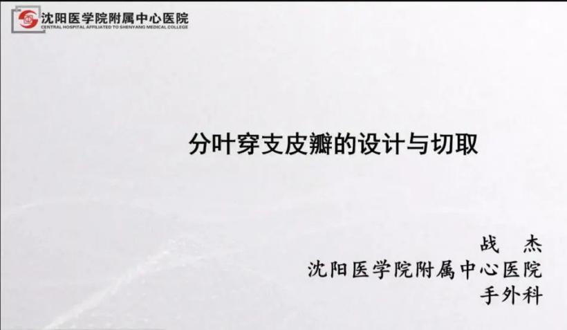 聚焦顯微外科|葫蘆島市醫(yī)學會顯微外科學分會第一屆第二次學術(shù)會議順利召開(圖7)